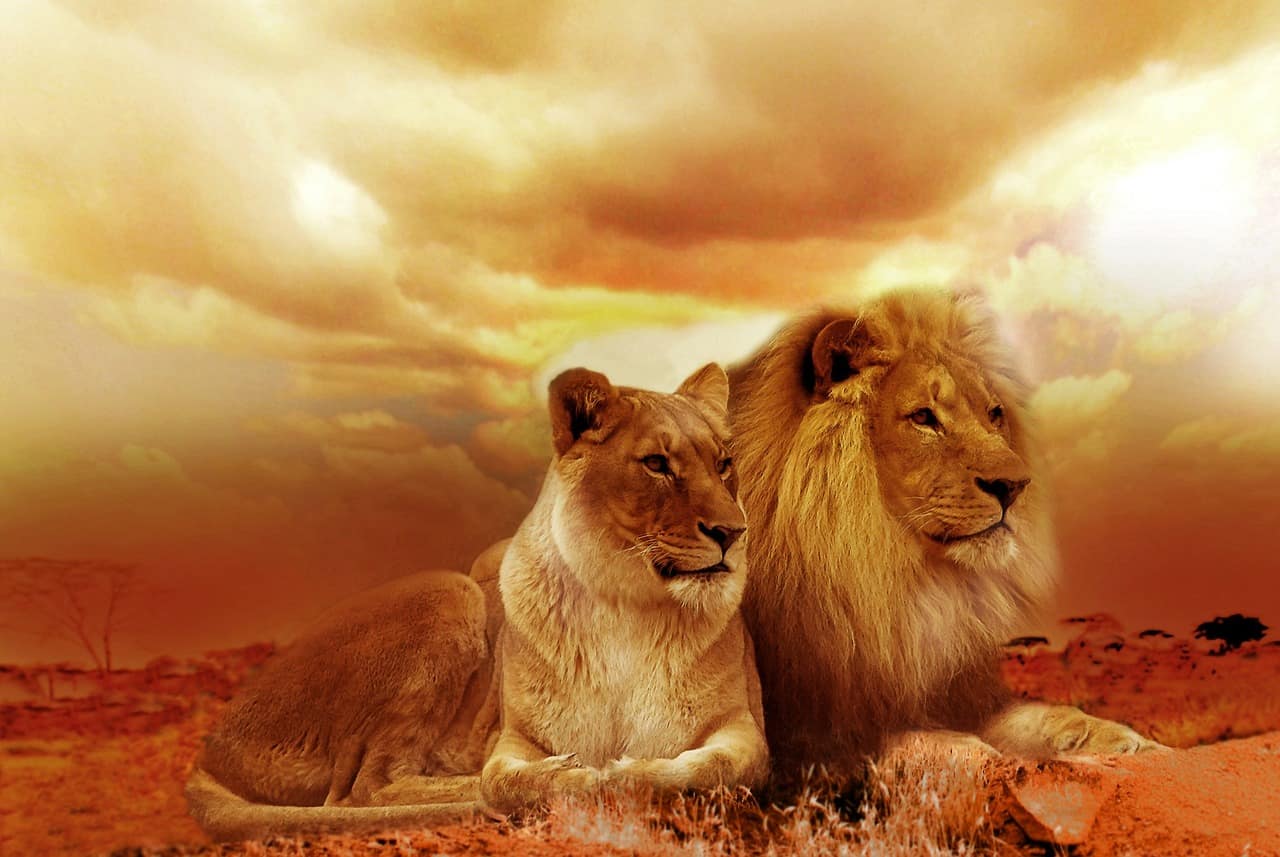 Africa