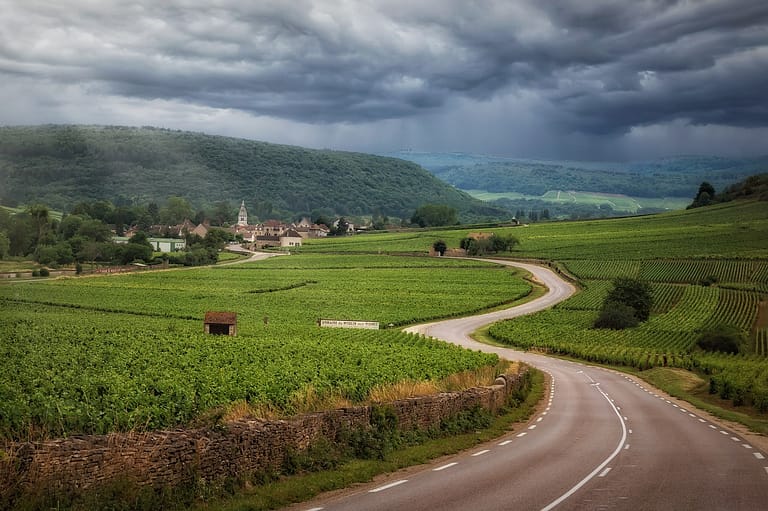 road, vineyards, clouds