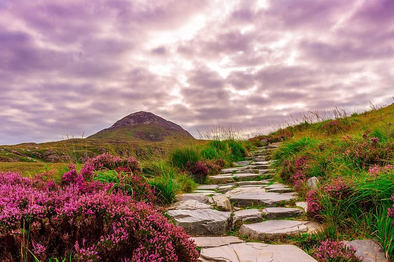 ireland, national park, connemara